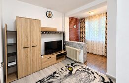 Garsoniera de vanzare, 28 mp, zona Brazda lui Novac