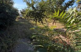Casa de vanzare, 160 mp, zona Bariera Valcii