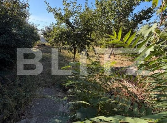 Casa de vânzare 5 camere Bariera Valcii - 207501CV | BLITZ Craiova | Poza10
