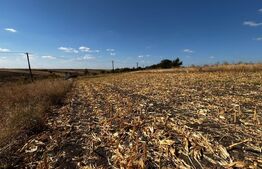 Teren extravilan, 1600 mp, zona Est