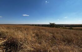 Teren extravilan, 1600 mp, zona Est