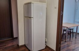 Apartament 2 camere, 54 mp, zona Brazda lui Novoc