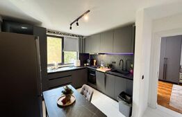 Apartament de vânzare 2 camere Valea Rosie - 208938AV | BLITZ Craiova | Poza2
