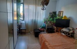 Camera de camin, 20.84 mp, zona Sarari