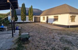 Hala de vanzare, 200 mp, zona Bariera Valcii