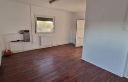 Hala de vanzare, 200 mp, zona Bariera Valcii