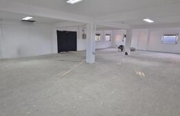 Hala de vanzare, 200 mp, zona Bariera Valcii