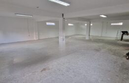Hala de vanzare, 200 mp, zona Bariera Valcii