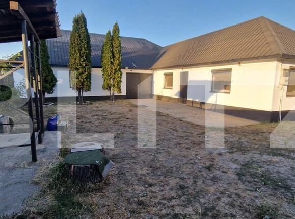 Spațiu industrial de vânzare Bariera Valcii - 207615SVI | BLITZ Craiova | Poza1