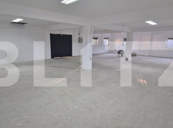 Spațiu industrial de vânzare Bariera Valcii - 207615SVI | BLITZ Craiova | Poza3