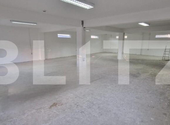 Spațiu industrial de vânzare Bariera Valcii - 207615SVI | BLITZ Craiova | Poza2