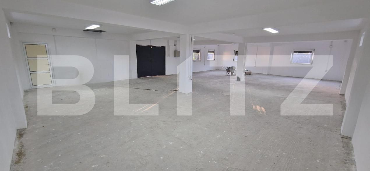 Spațiu industrial de vânzare Bariera Valcii - 207615SVI | BLITZ Craiova | Poza3