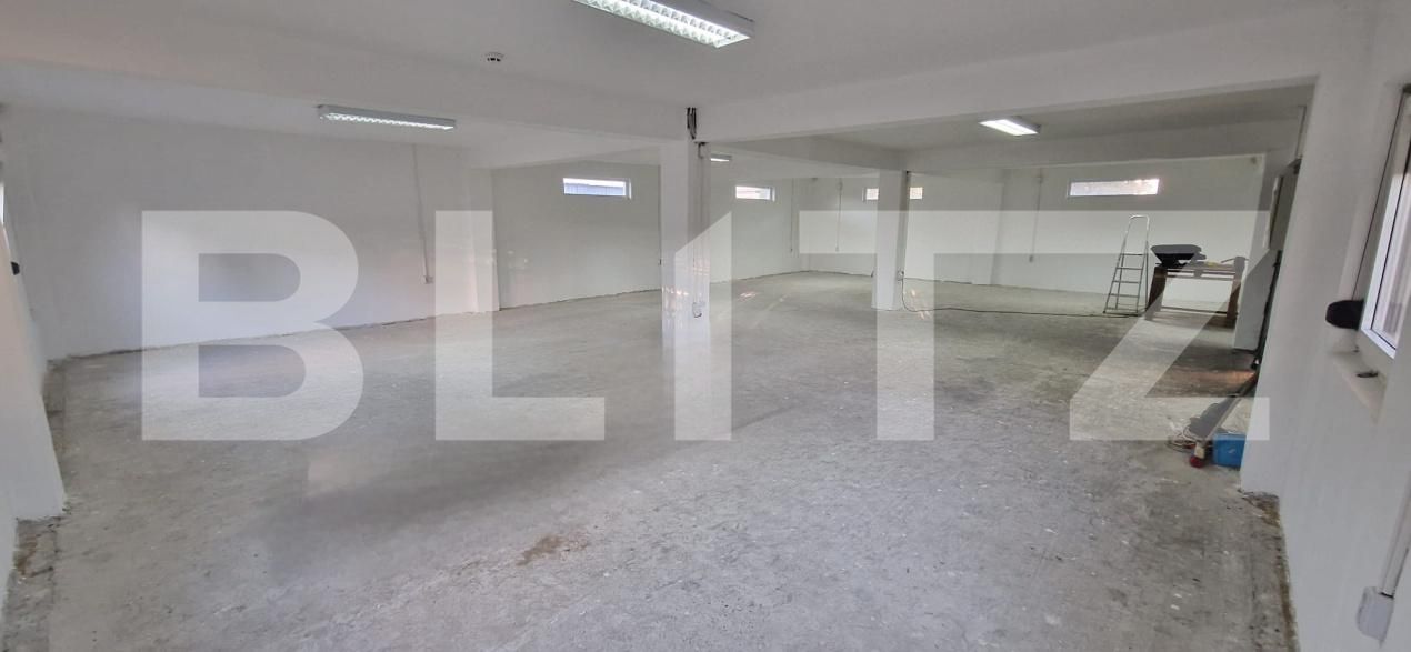 Spațiu industrial de vânzare Bariera Valcii - 207615SVI | BLITZ Craiova | Poza2