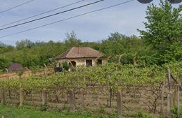 Casa de vanzare, 56 mp, zona Nord