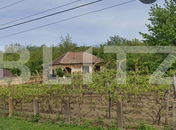Casa de vânzare 2 camere Toceni - 207676CV | BLITZ Craiova | Poza1