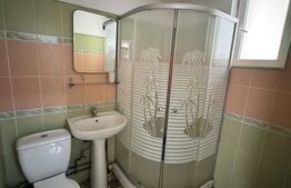Apartament 2 camere, 45 mp, zona Brazda lui Novac