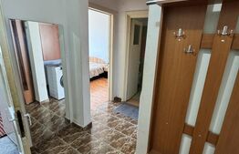 Apartament 2 camere, 45 mp, zona Brazda lui Novac