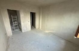 Casa P+E, 200 mp utili, 454 mp teren, zona Ionumi 