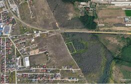 Oportunitate investitie teren (padure) 10.000mp zona Drumul Muntenilor