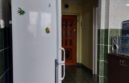 Apartament 2 camere, 50 mp, zona Brazda lui Novac