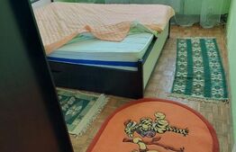 Apartament 2 camere, 50 mp, zona Brazda lui Novac