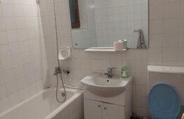 Apartament 2 camere, 50 mp, zona Brazda lui Novac