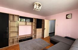 Apartament 2 camere, mobilat si utilat, zona Simplon Brazda lui Novac 