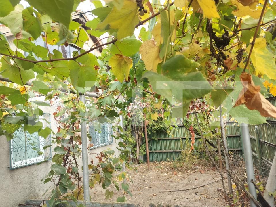 Casa de vânzare 2 camere Malu Mare - 208143CV | BLITZ Craiova | Poza6