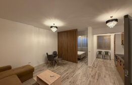 Apartament de închiriat 2 camere Central - 208162AI | BLITZ Craiova | Poza4