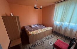 Apartament 2 camere, Brazda lui Novac
