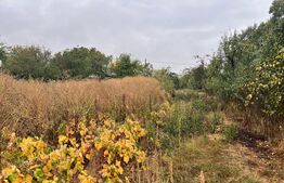 Teren intravilan, 4400 mp, zona Centrală - Urechești