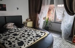 Casă de vânzare, 163 mp, zona Bariera Vâlcii