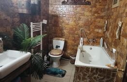 Casă de vânzare, 163 mp, zona Bariera Vâlcii