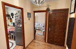 Apartament decomandat, 2 camere, Rovine
