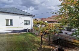 Proprietate deosebită în cartierul Lascăr Catargiu – două case,  teren 423mp 