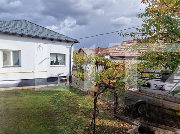 Casa de vânzare 6 camere Lascar Catargiu - 208684CV | BLITZ Craiova | Poza3