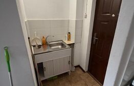 Cameră de cămin, 21,14 mp, zona Lăpuș-Argeș
