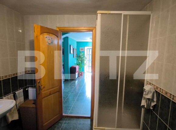 Casa de închiriat 7 camere Exterior Sud - 208819CI | BLITZ Craiova | Poza8