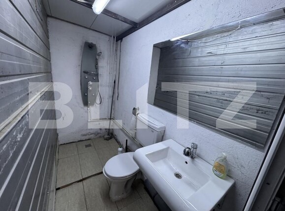 Spațiu industrial de închiriat Exterior Est - 208854SII | BLITZ Craiova | Poza4