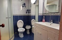 Apartament 50mp utili +10 mp balcon la parter cu beci in Filiasi