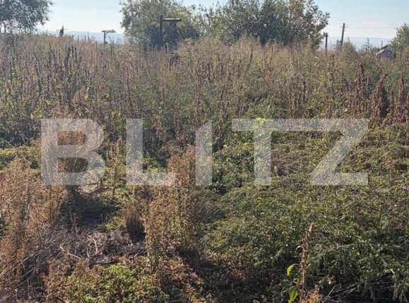 Teren de vânzare Filiaşi - 208958TV | BLITZ Craiova | Poza3