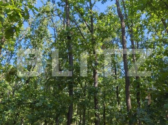 Teren de vânzare Exterior  Nord - 208990TV | BLITZ Craiova | Poza2