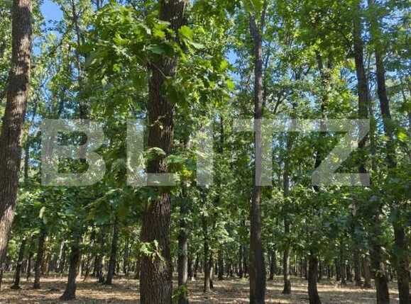 Teren de vânzare Exterior  Nord - 208990TV | BLITZ Craiova | Poza1