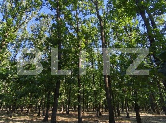Teren de vânzare Exterior  Nord - 208990TV | BLITZ Craiova | Poza3