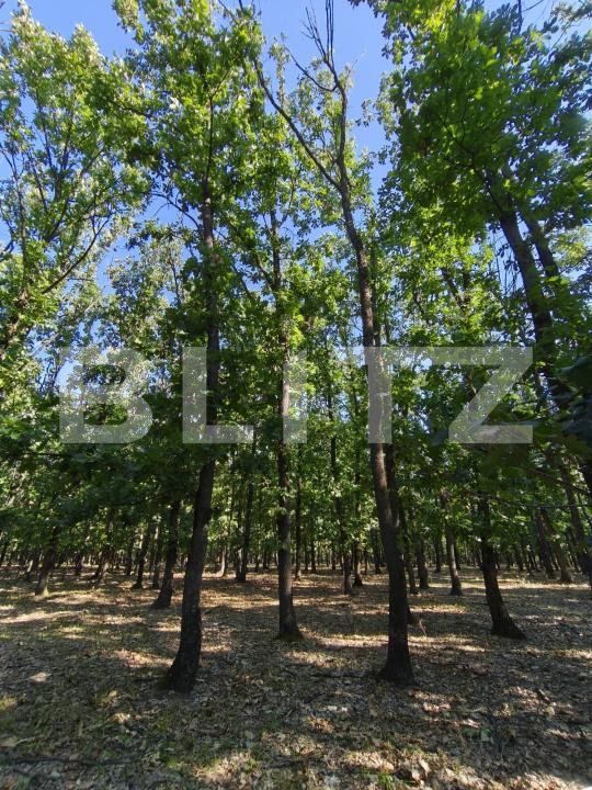 Teren de vânzare Exterior  Nord - 208990TV | BLITZ Craiova | Poza3