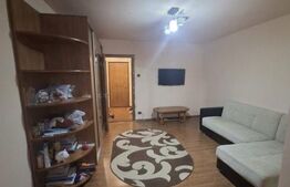 Garsonieră de vânzare, 28 mp, zona Brazda lui Novac