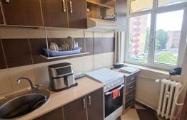 Garsonieră de vânzare, 28 mp, zona Brazda lui Novac
