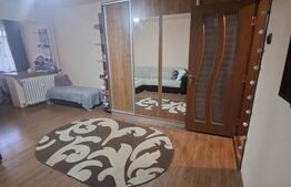 Garsonieră de vânzare, 28 mp, zona Brazda lui Novac