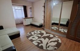 Garsonieră de vânzare, 28 mp, zona Brazda lui Novac