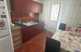 Apartament de vânzare, 48 mp, zona Craiovița Nouă